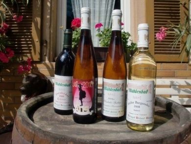 Weingut Mühlenhof in Bad Kreuznach-Ippesheim